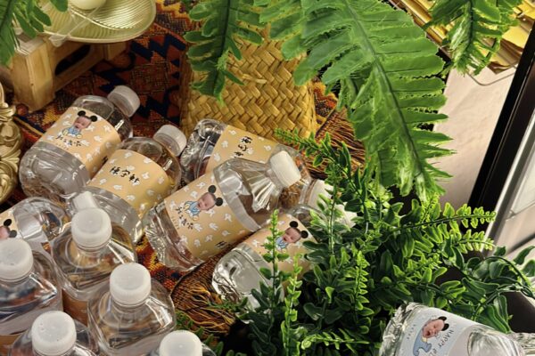 {"ARInfo":{"IsUseAR":false},"Version":"1.0.0","MakeupInfo":{"IsUseMakeup":false},"FaceliftInfo":{"IsChangeEyeLift":false,"IsChangeFacelift":false,"IsChangePostureLift":false,"IsChangeNose":false,"IsChangeFaceChin":false,"IsChangeMouth":false,"IsChangeThinFace":false},"BeautyInfo":{"SwitchMedicatedAcne":false,"IsAIBeauty":false,"IsBrightEyes":false,"IsSharpen":false,"IsOldBeauty":false,"IsReduceBlackEyes":false},"HandlerInfo":{"AppName":2},"FilterInfo":{"IsUseFilter":false}}