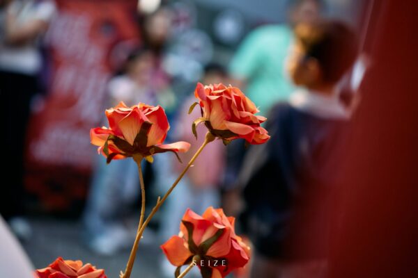 batch_DSC00468